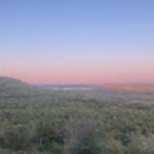 Meet your Posher, Brady